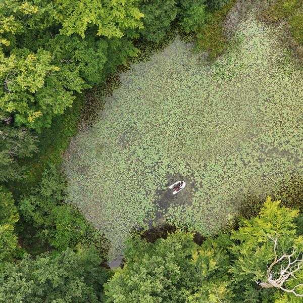 Bird's-eye view of a boat on green forest lake.