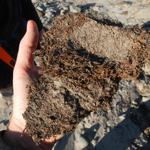 Close-up of soil.