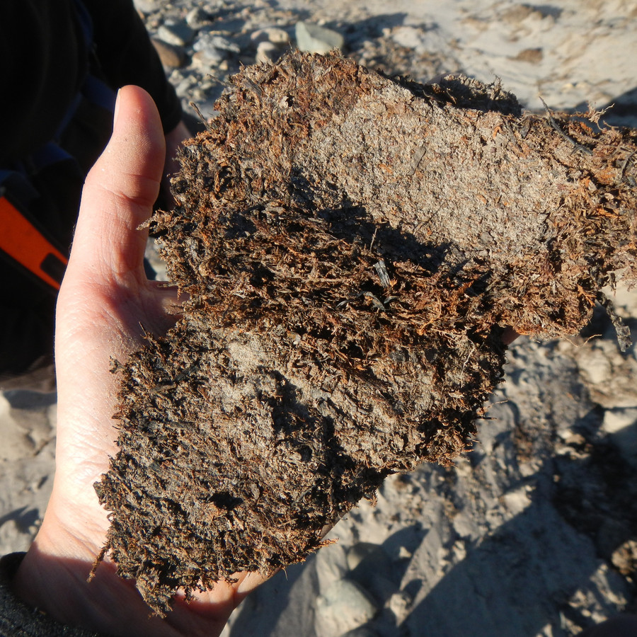 Close-up of soil.