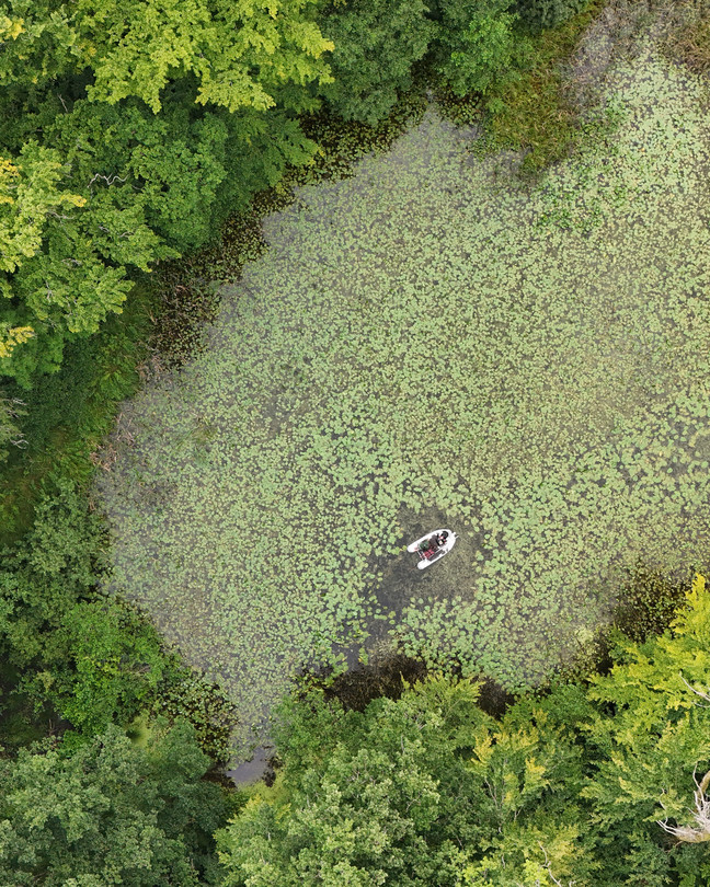 Bird's-eye view of a boat on green forest lake.
