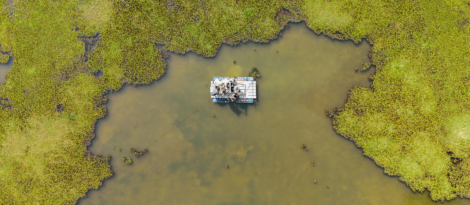 Bird's-eye view of a boat on green lake.