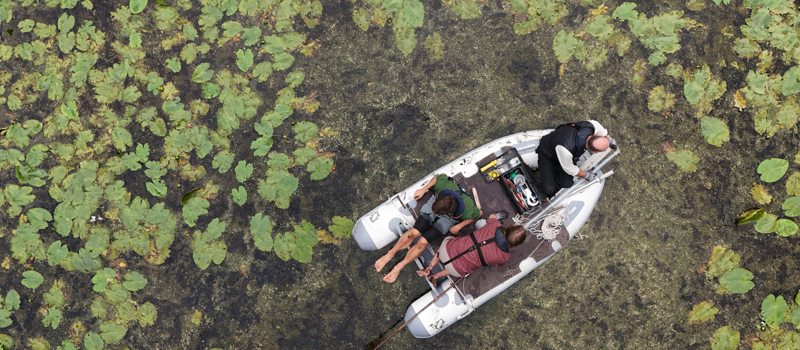 Bird's-eye view of researchers in a small boat on a lake covered in green plants.