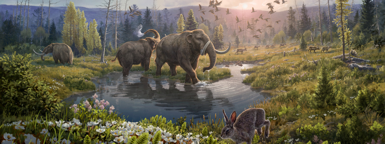 Illustration of an ancient landscape with mammoths, rabbits and birds. 