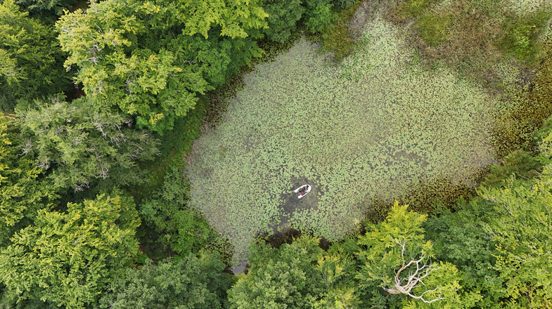 Bird's-eye view of a boat on green forest lake.